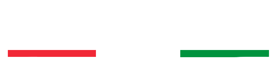 Virtudoc Logo